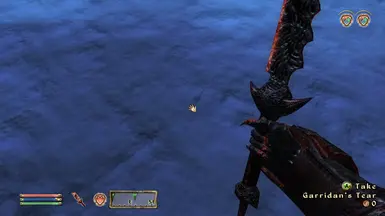 《上古卷轴4:湮灭重制版》MOD|加里丹的眼泪任务标记|下载