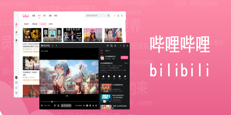 哔哩哔哩官网版