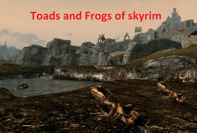 《上古卷轴5：天际重制版》天际的蟾蜍和青蛙MOD