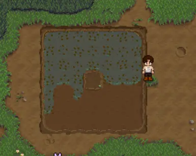 《星露谷物语》星露谷的稻田MOD