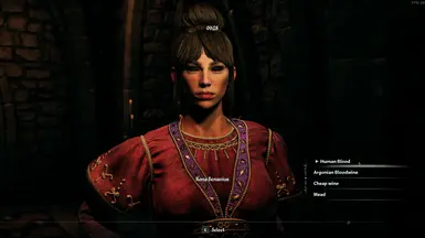 《上古卷轴4：天际重制版》战号角中的血腥MOD