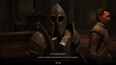 《上古卷轴4：天际重制版》帝国军团保镖追随者MOD