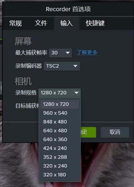 Camtasia Studio摄像头大小设置
