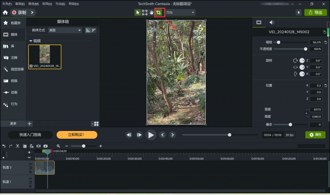 Camtasia Studio摄像头大小设置