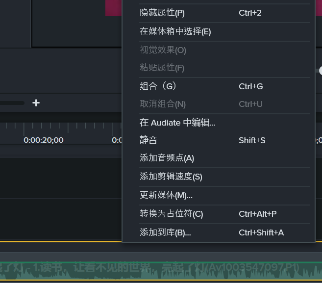 Camtasia怎么处理声音