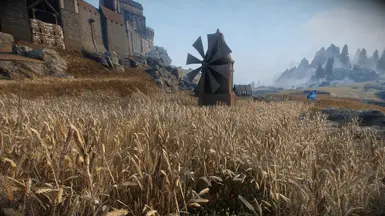 《上古卷轴5：天际重制版》真正的麦田MOD