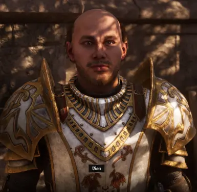 《上古卷轴4：湮灭重制版》华丽的帝国盔甲MOD