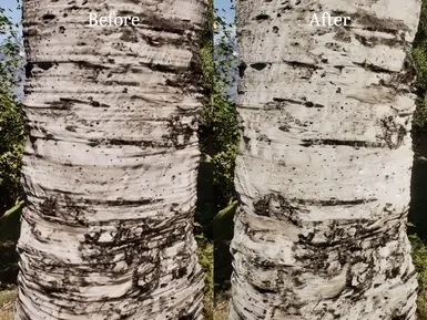 《上古卷轴4:湮灭重制版》MOD|增强的树皮|下载