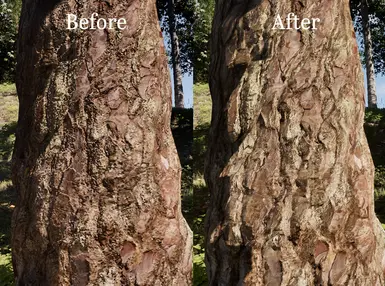 《上古卷轴4:湮灭重制版》MOD|增强的树皮|下载