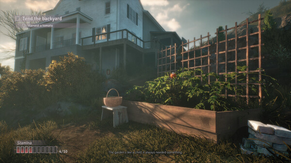 《绯花绽放》游戏库