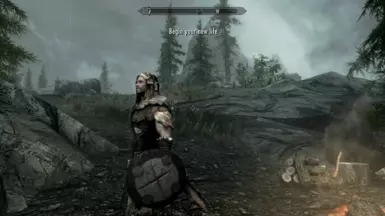 《上古卷轴5:天际重制版》MOD|哥布林杀手剑与盾|下载