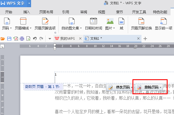 WPS Office如何将指定页数设置为起始页