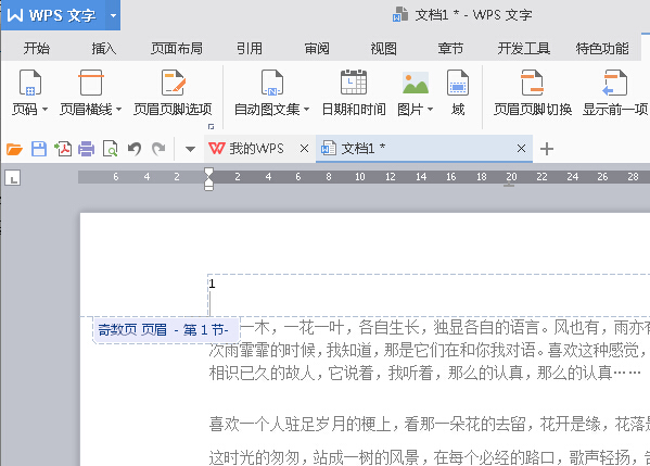 WPS Office如何将指定页数设置为起始页