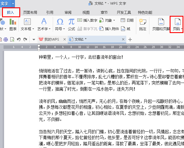 WPS Office如何将指定页数设置为起始页