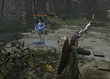 《艾尔登法环：黑夜君临》MOD|爆击时的黑焰增益|下载