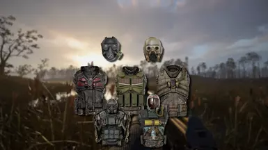 《潜行者2：切尔诺贝利之心》更好的盔甲MOD