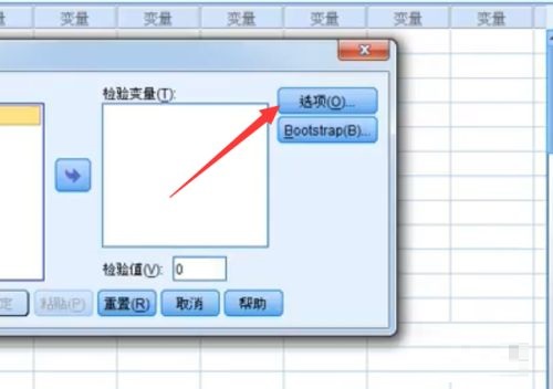 SPSS如何T检验