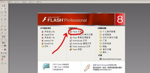 Macromedia Flash 8如何画一朵花