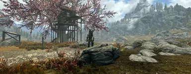 《上古卷轴5:天际重制版》MOD|精灵庇护所|下载