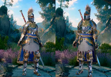 《博德之门3》MOD|重制圣骑士的初始装备|下载