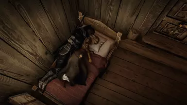 《上古卷轴5：天际重制版》天际的勺子MOD