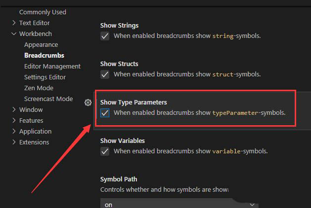 VSCode类型参数怎么显示