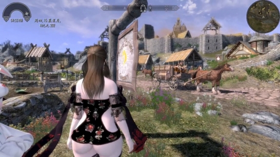 《上古卷轴5:天际重制版》添加呼叫马车时的音效MOD