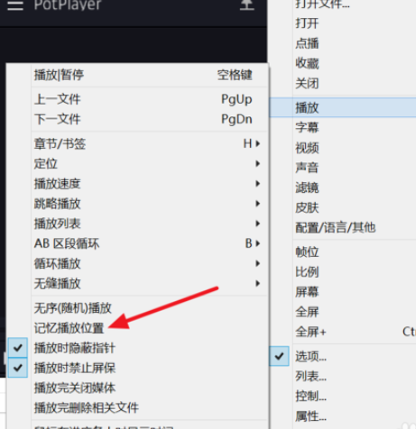PotPlayer设置自动记忆播放位置