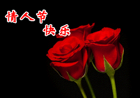 Macromedia Flash 8如何制作动态贺卡