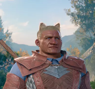 《博德之门3》毛茸茸的猫耳朵MOD