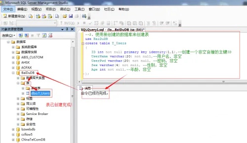 SQL Server 2008数据库入门操作