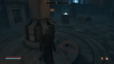 《上古卷轴4:湮灭重制版》MOD|常体型啮齿类动物|下载