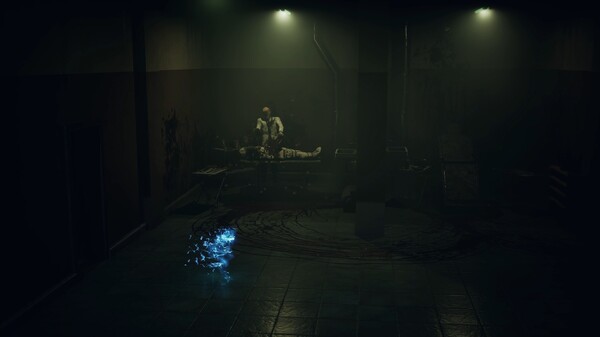 《寂静之国的波斯菊》中文版