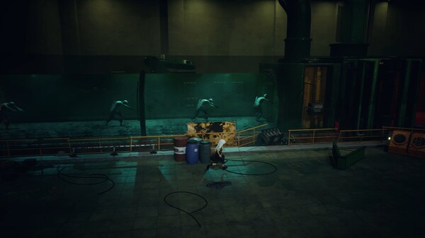 《寂静之国的波斯菊》中文版