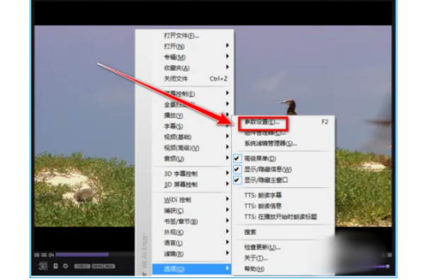 kmplayer plus如何调整字幕