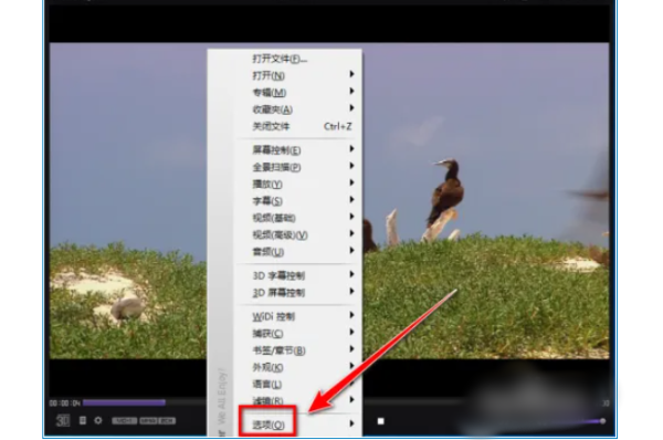 kmplayer plus如何调整字幕