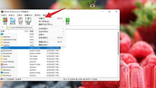 WinRAR如何设置查看器类型