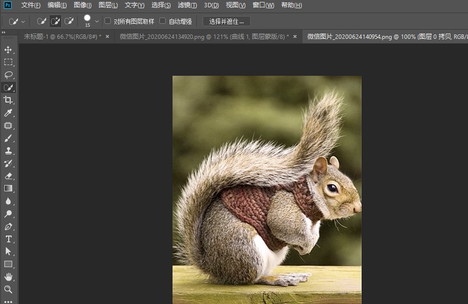 photoshop怎么快速抠动物毛发