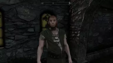 《上古卷轴5：天际重制版》MOD|斯诺雷德|下载