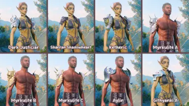 《博德之门3》MOD|华丽的肩甲|下载