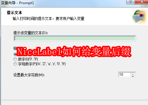 NiceLabel如何给变量后缀