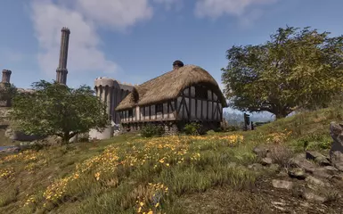 《上古卷轴4：湮灭重制版》MOD|怀旧颜色|下载