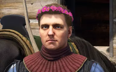 《天国:拯救2》MOD|粉红色花环|下载