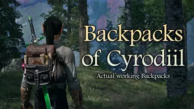 《上古卷轴4:湮灭重制版》MOD|有用的背包|下载