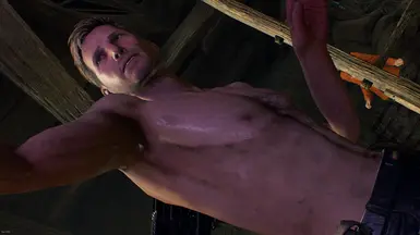 《生化危机4：重制版》MOD|光膀子里希特外观|下载