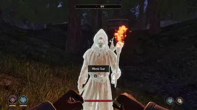 《上古卷轴4：湮灭重制版》MOD|模拟撕裂|下载