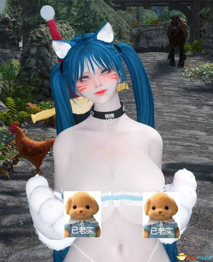 《上古卷轴5：天际重制版》MOD|女随从图莱蒙|下载