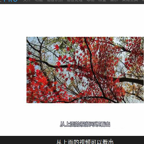 arctime字幕重叠显示该怎么办
