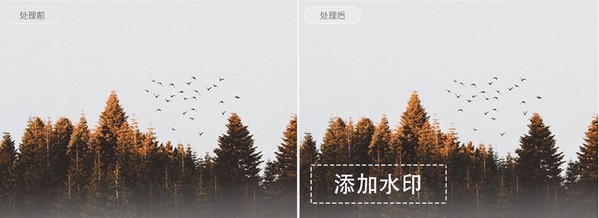 图图水印管家官方版