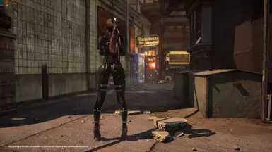 《剑星》MOD|第一后裔伊内斯服装|下载